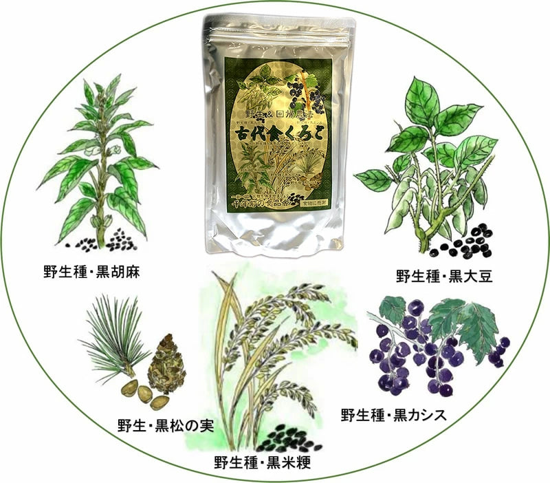 古代食くろご