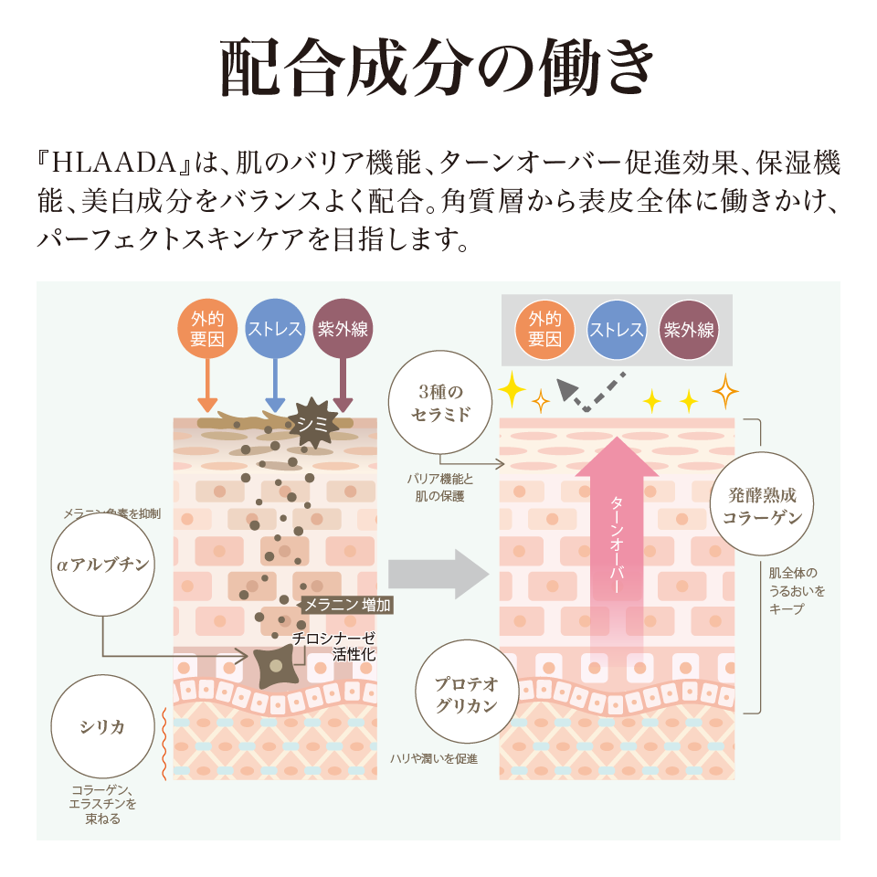 HLAADA　コラジェンローション